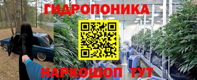 гашиш Канаш